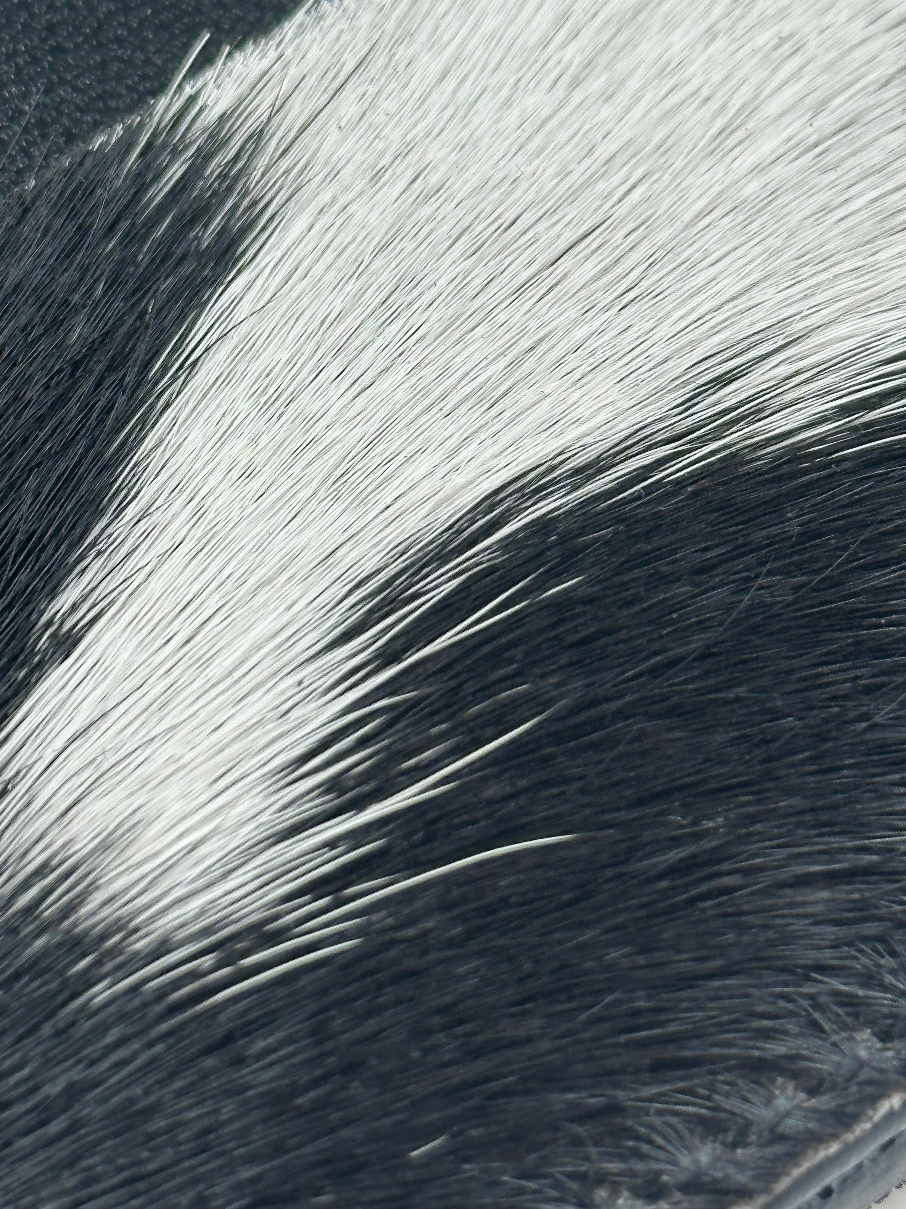 Genuine Cowhide Cardholder