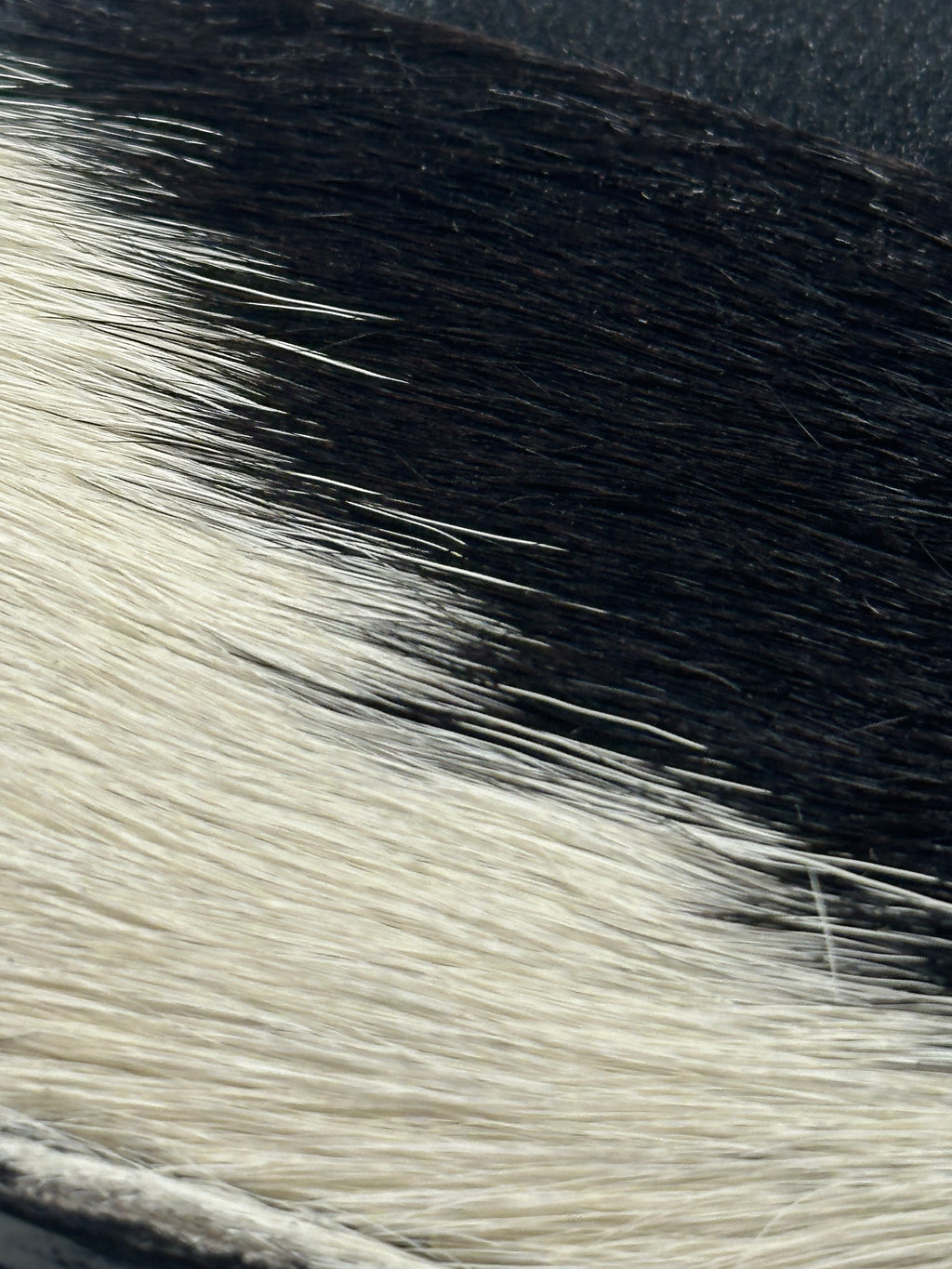 Genuine Cowhide Cardholder