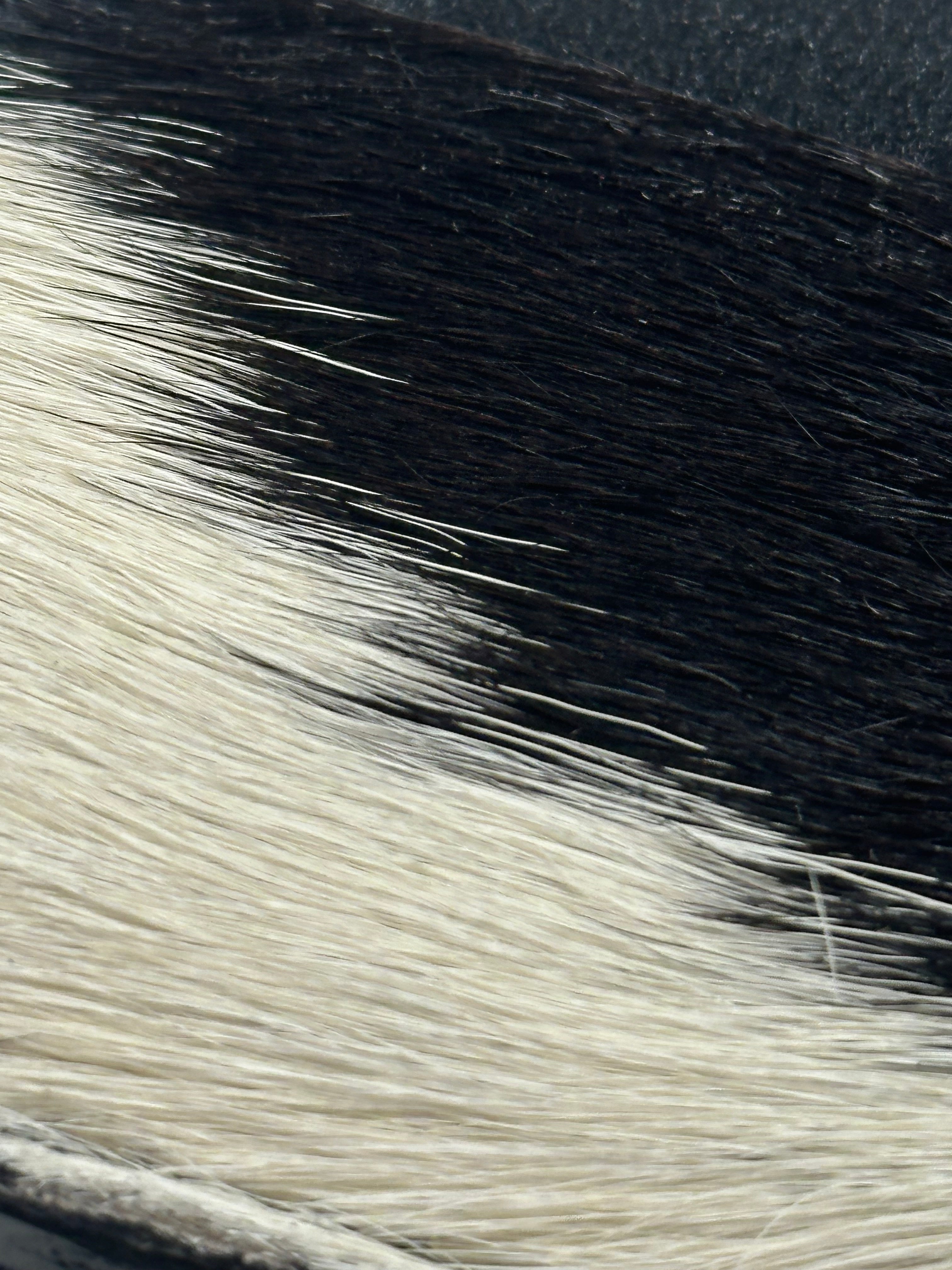 Genuine Cowhide Cardholder